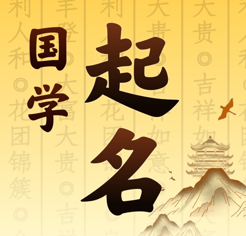 阳朔国学起名 人工起名一对一